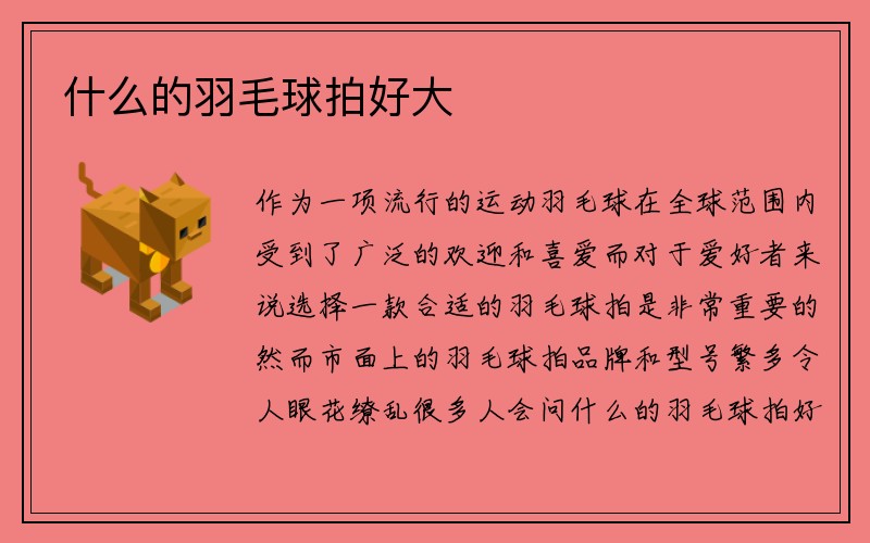 什么的羽毛球拍好大