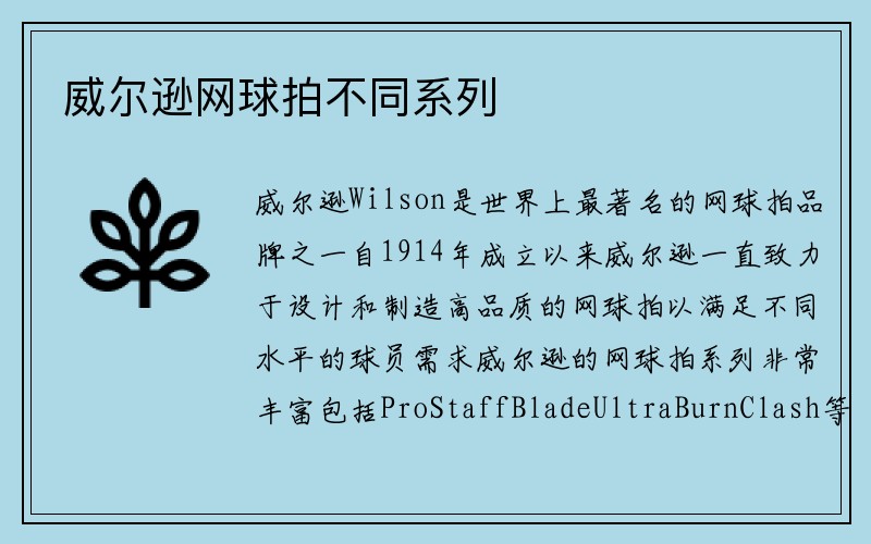 威尔逊网球拍不同系列