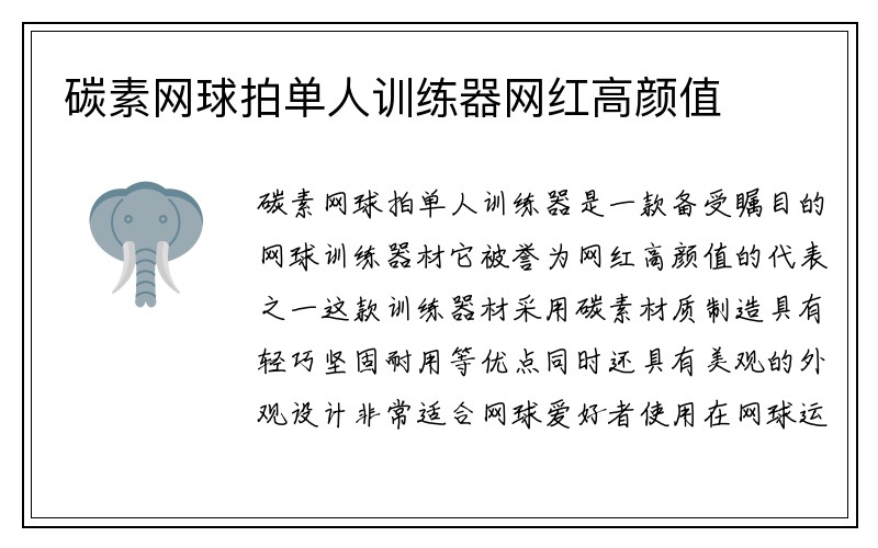 碳素网球拍单人训练器网红高颜值