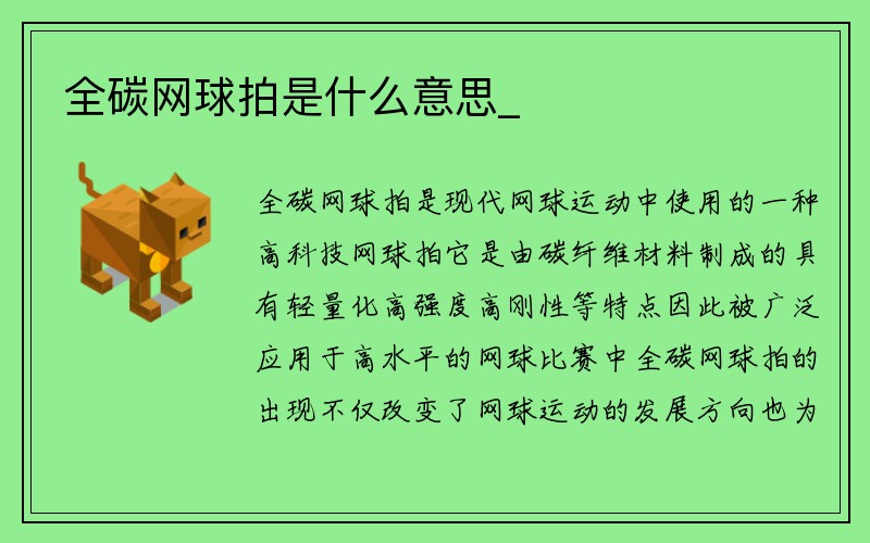 全碳网球拍是什么意思_