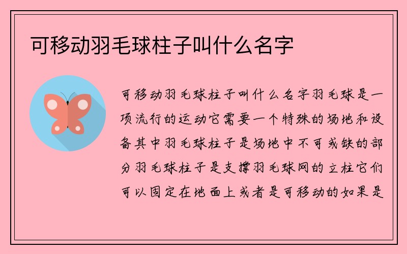 可移动羽毛球柱子叫什么名字