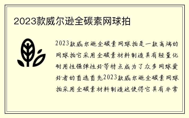 2023款威尔逊全碳素网球拍