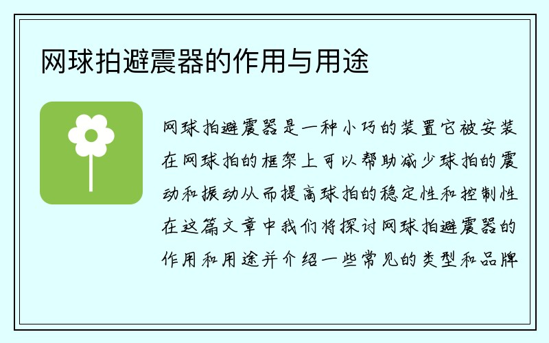 网球拍避震器的作用与用途